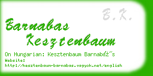 barnabas kesztenbaum business card